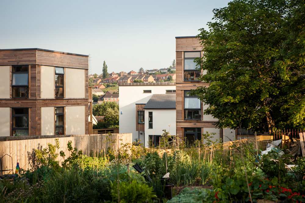 Weekly Roundup 20-February-2026 - Greater Auckland