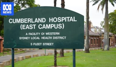 Concerns Raised Over Mental Health System After Patients Escape and Allegedly Kill