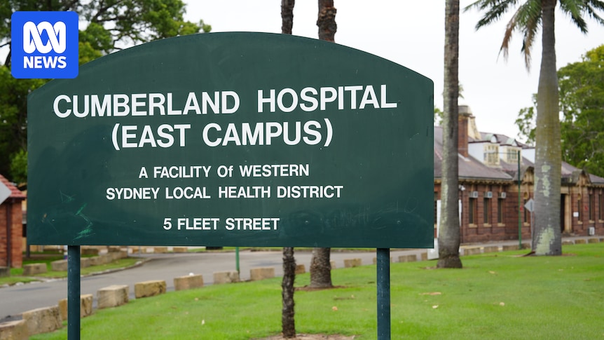 Concerns Raised Over Mental Health System After Patients Escape and Allegedly Kill