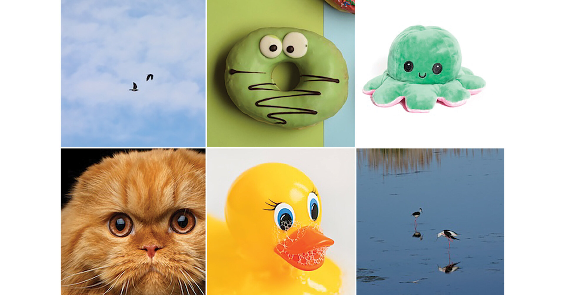 Cold Spring Harbor Laboratory neuroscientist recreates monkey vision with email-sized AI