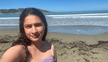 I swam in the shitty seas of Wellington’s south coast and lived to tell the tale