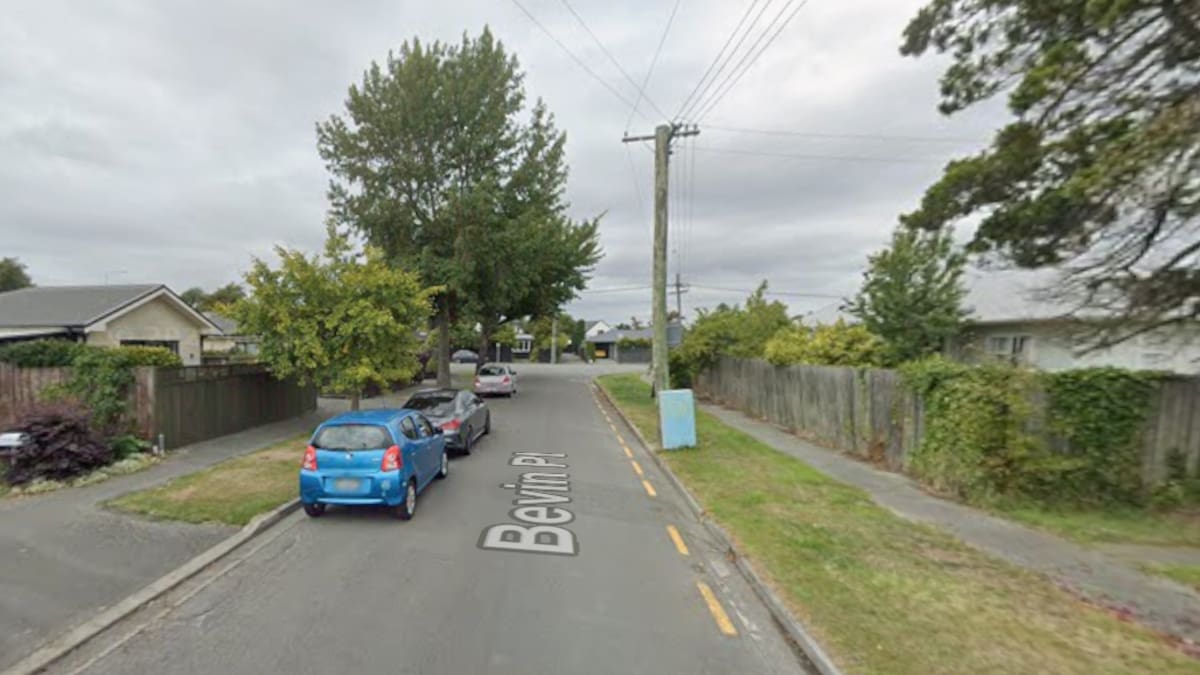 Three injured after dog attack in Christchurch suburb of Bryndwr