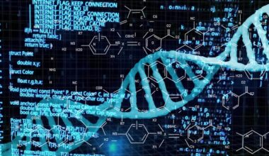 DNA could rival computer chips for future data storage