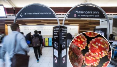 Two new measles cases confirmed in Auckland linked to overseas travel