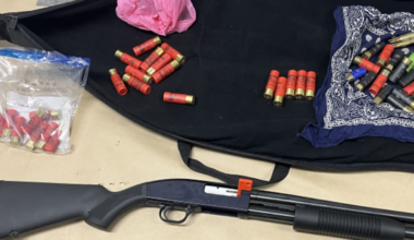 Onehunga shooting investigation: Shotgun seized, charges laid a month after person wounded