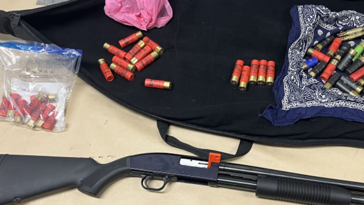 Onehunga shooting investigation: Shotgun seized, charges laid a month after person wounded