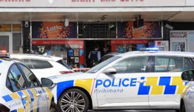 New Windsor, Auckland dairy stabber died in police custody, IPCA finds police failings of his care