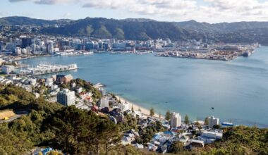 Wellington jobs fall by nearly 10,000 since election
