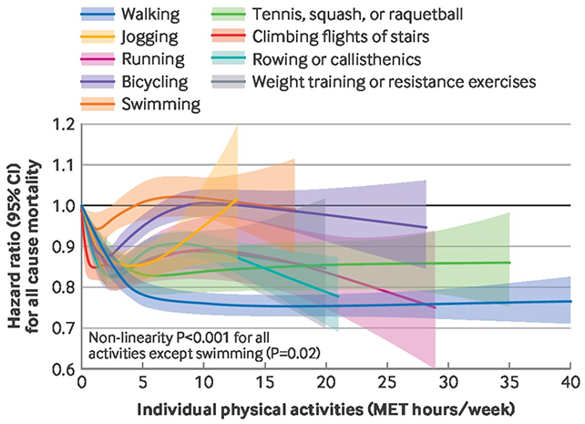 Exercise chart