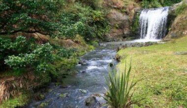 Auckland builder admits sediment discharge from apartment site, ordered to pay $5k
