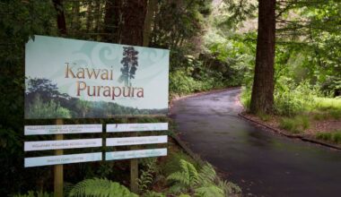 Woman awarded compensation after ‘harassment’ permitted at Kawai Purapura retreat