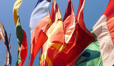 OECD Pillar Two side-by-side package: A New Zealand perspective