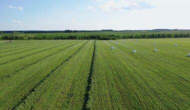 GHG Protocol Launches Carbon Accounting Standard for Land Sector