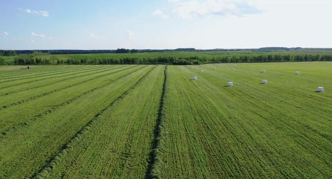 GHG Protocol Launches Carbon Accounting Standard for Land Sector