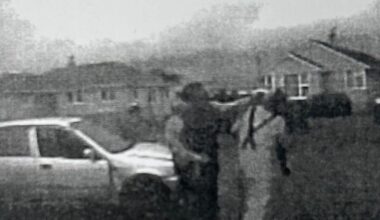 Calem Jackson crashed into Hamilton rubbish truck, knocked driver out with a coward punch