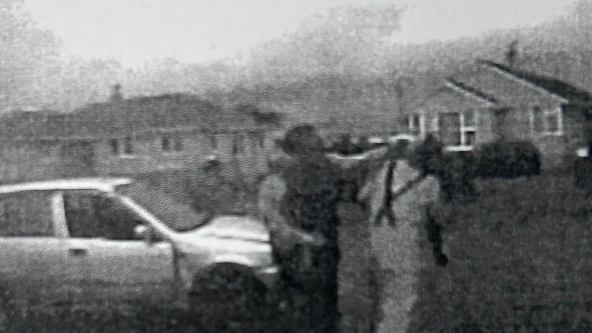 Calem Jackson crashed into Hamilton rubbish truck, knocked driver out with a coward punch