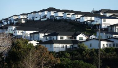 Auckland’s Nimbys shouldn’t be vilified for speaking out – Heather du Plessis-Allan