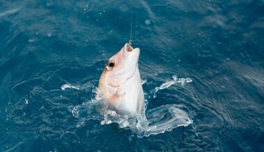 Fisheries emerges as unlikely election battleground