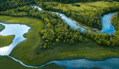 Current is a new RSS reader that's more like a river than an inbox