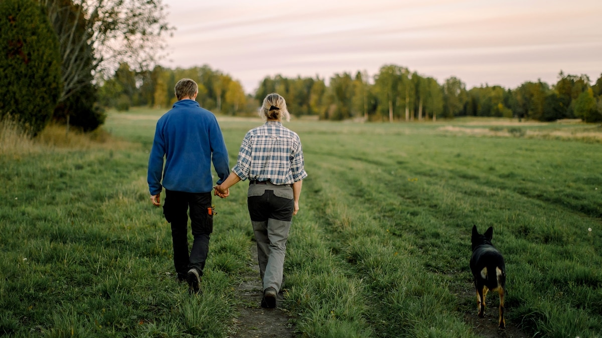 A walk after eating can change how the brain and body respond to food
