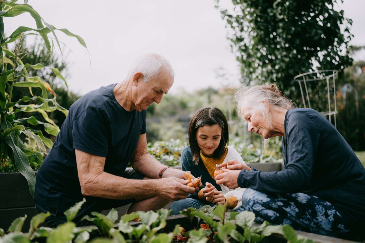 3 Clear Signs You Retired Too Early and Practical Steps to Fix It Starting Today