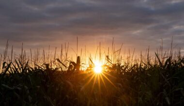 Start planning for catastrophic global warming, top advisers tell EU – POLITICO