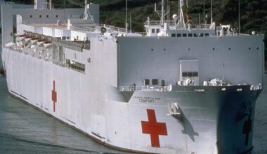 Trump trolled Greenland's free healthcare with Navy hospital ships. 'It’s a no thank you from here'