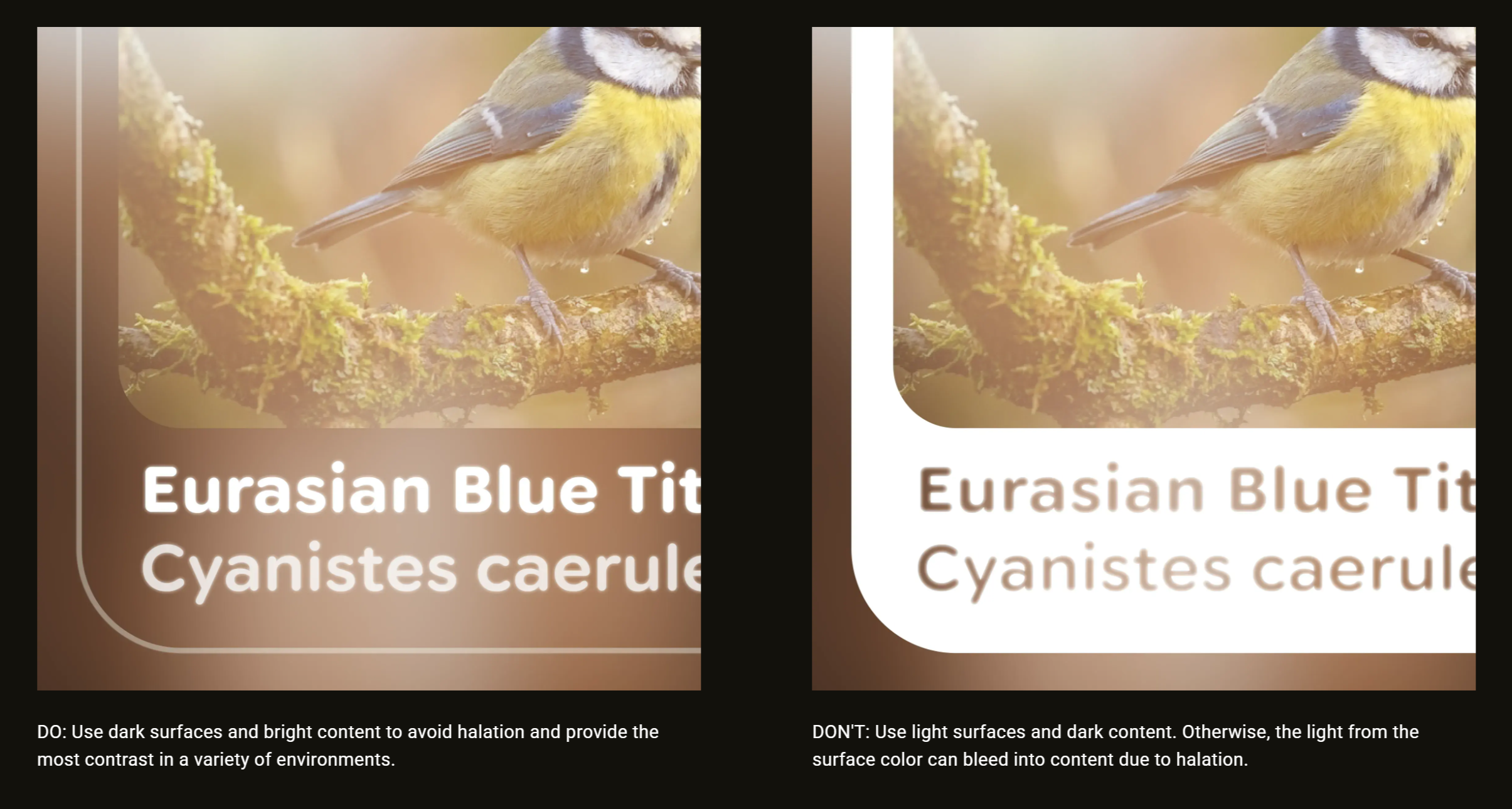 Google Glimmer suggest light content on dark backgrounds.