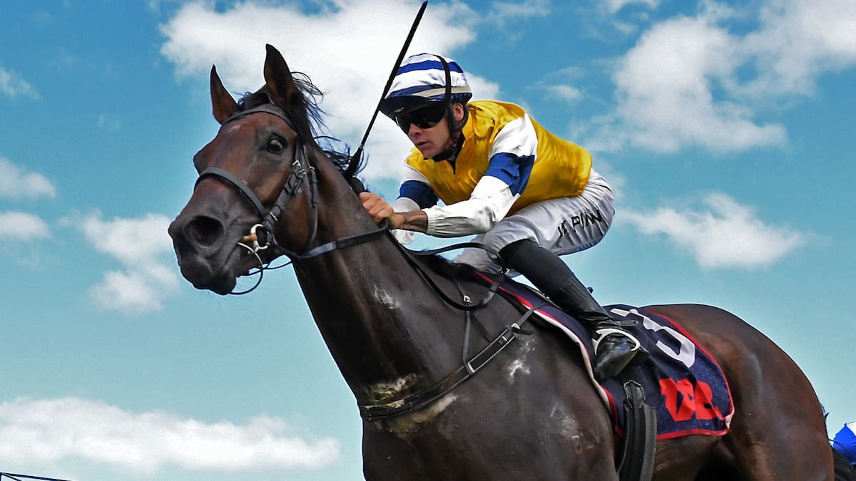 First Five too fast for Aussies in BCD Sprint at Te Rapa home track