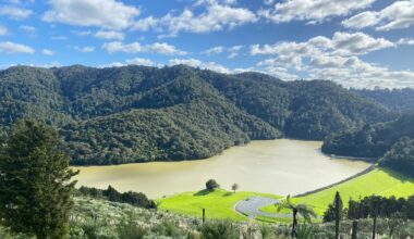 Whangārei dam closed to public after more bird deaths, avian botulism suspected