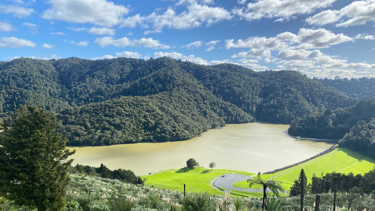 Whangārei dam closed to public after more bird deaths, avian botulism suspected