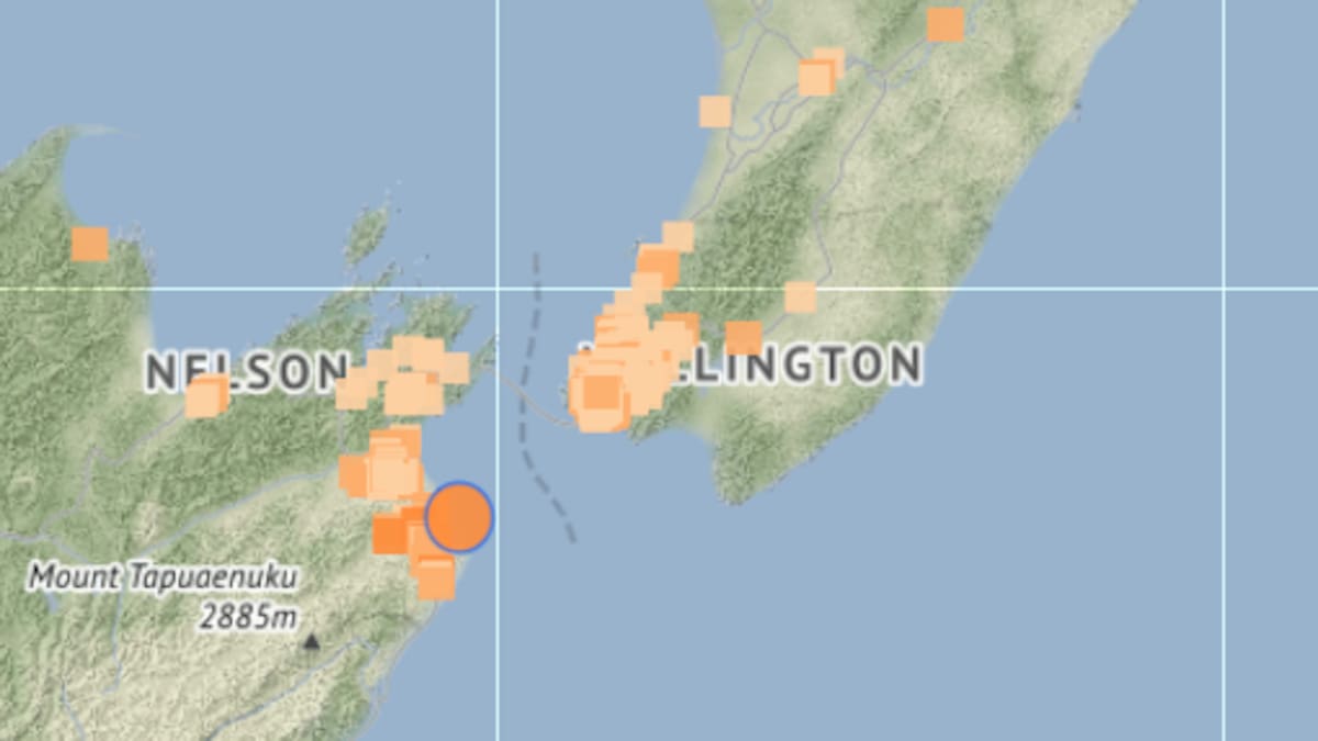 Magnitude 4.4 moderate earthquake centred at Seddon shakes central New Zealand