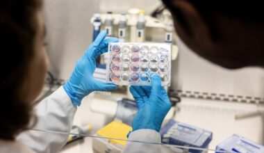 Abu Dhabi scientists test precision treatment to boost pancreatic cancer survival rates