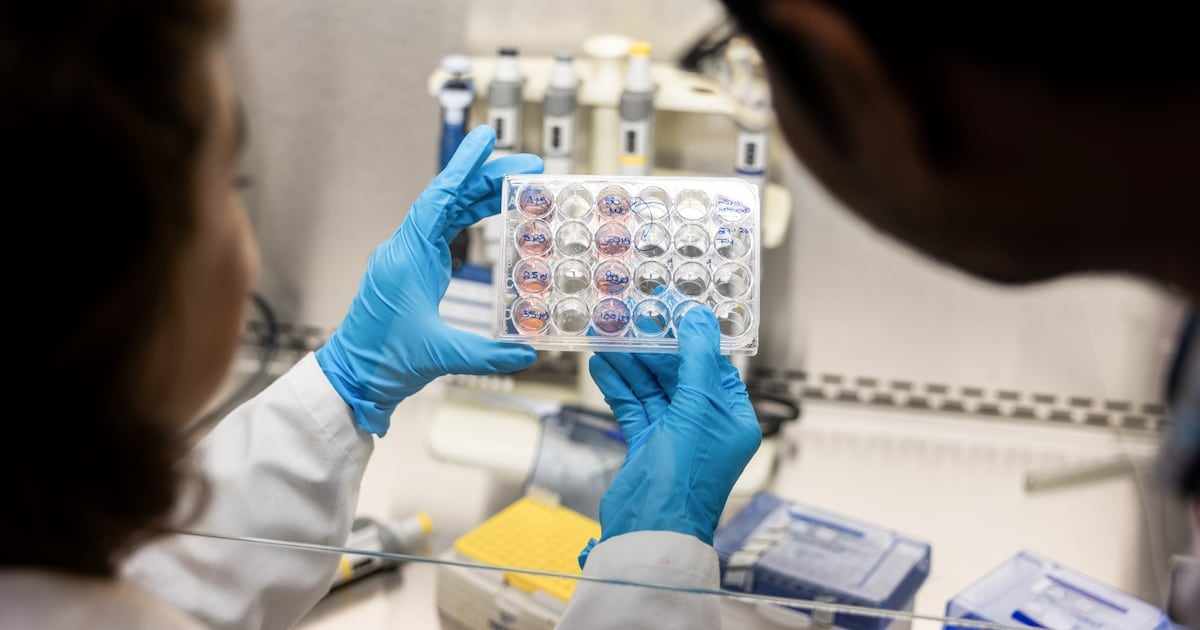 Abu Dhabi scientists test precision treatment to boost pancreatic cancer survival rates