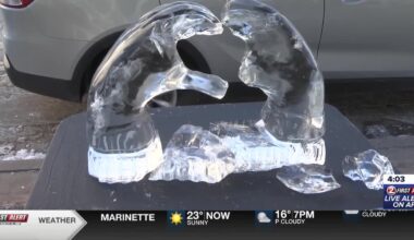Nonprofit expresses heartbreak after ice sculpture damaged