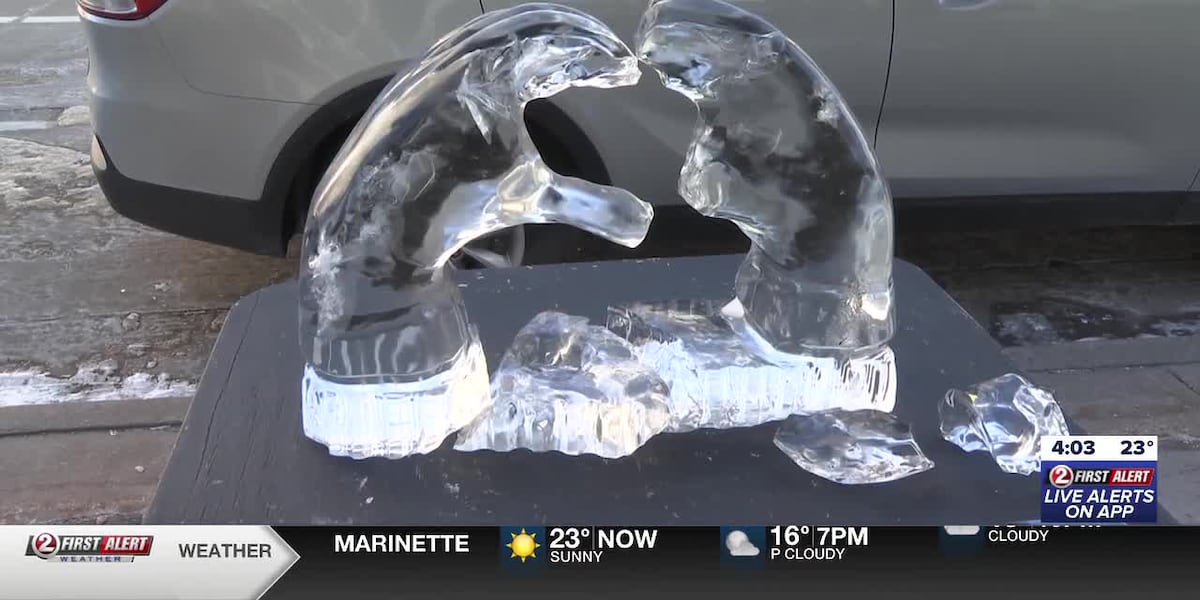 Nonprofit expresses heartbreak after ice sculpture damaged