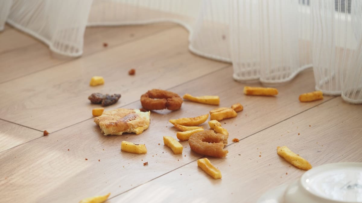 Medical abuse trial: Nelson court told child seen eating off floor despite mother’s ‘cannot eat’ claim