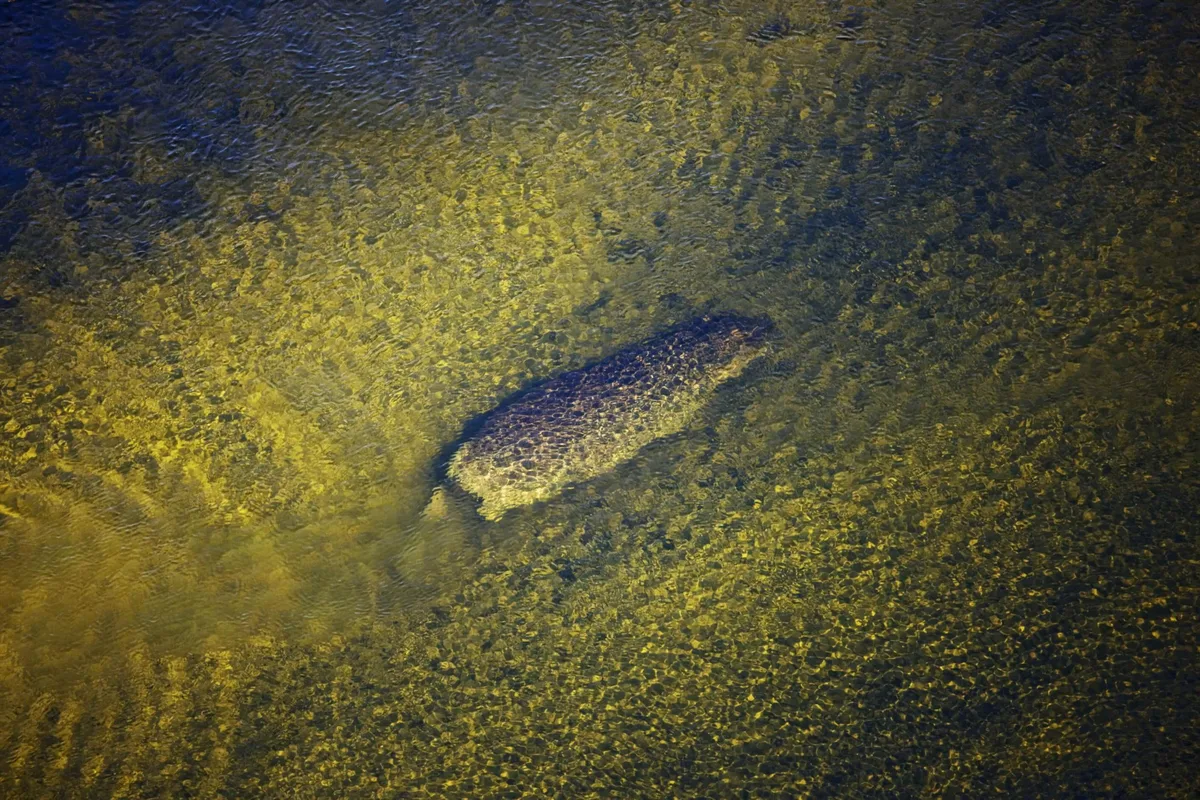 Aerial view of Hippopotamus