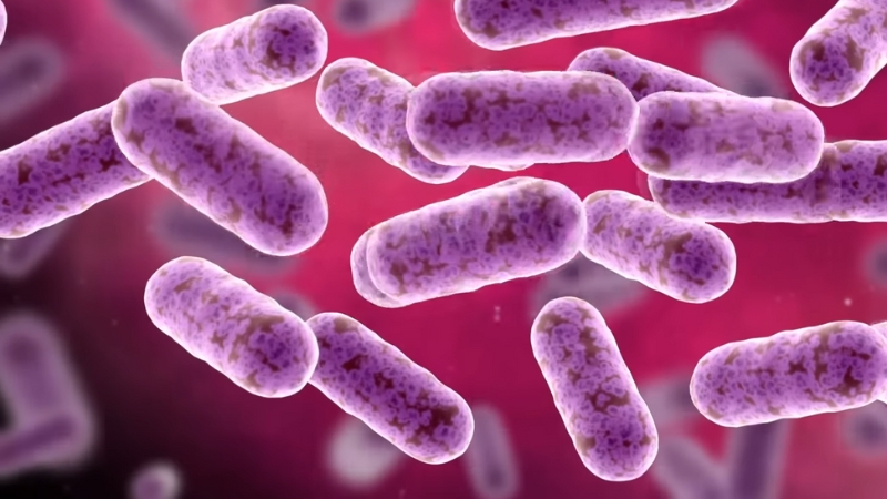 Microscopic illustration of rod-shaped simple cells representing early prokaryotic life forms