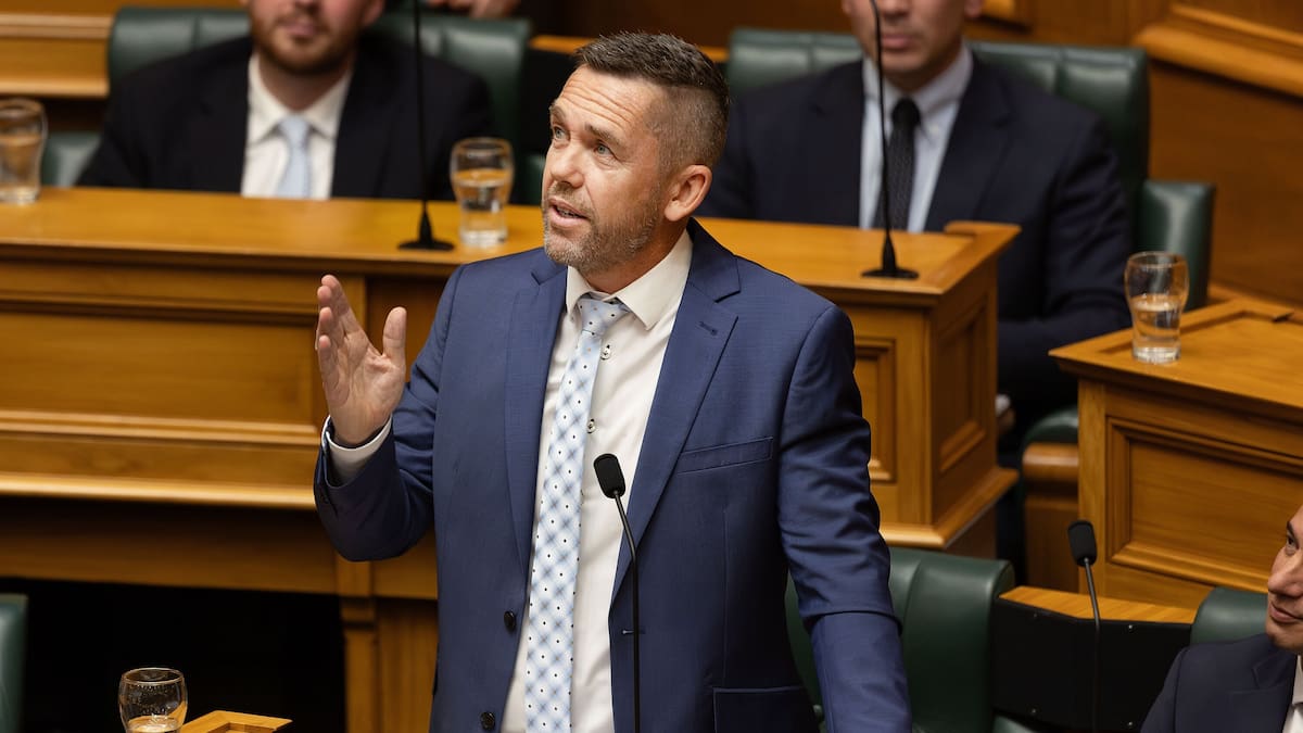 Real Life: National MP Greg Fleming’s hope for a less partisan Parliament