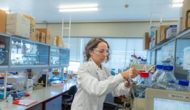 Kiwi scientists decode antibiotic-resistant bacteria