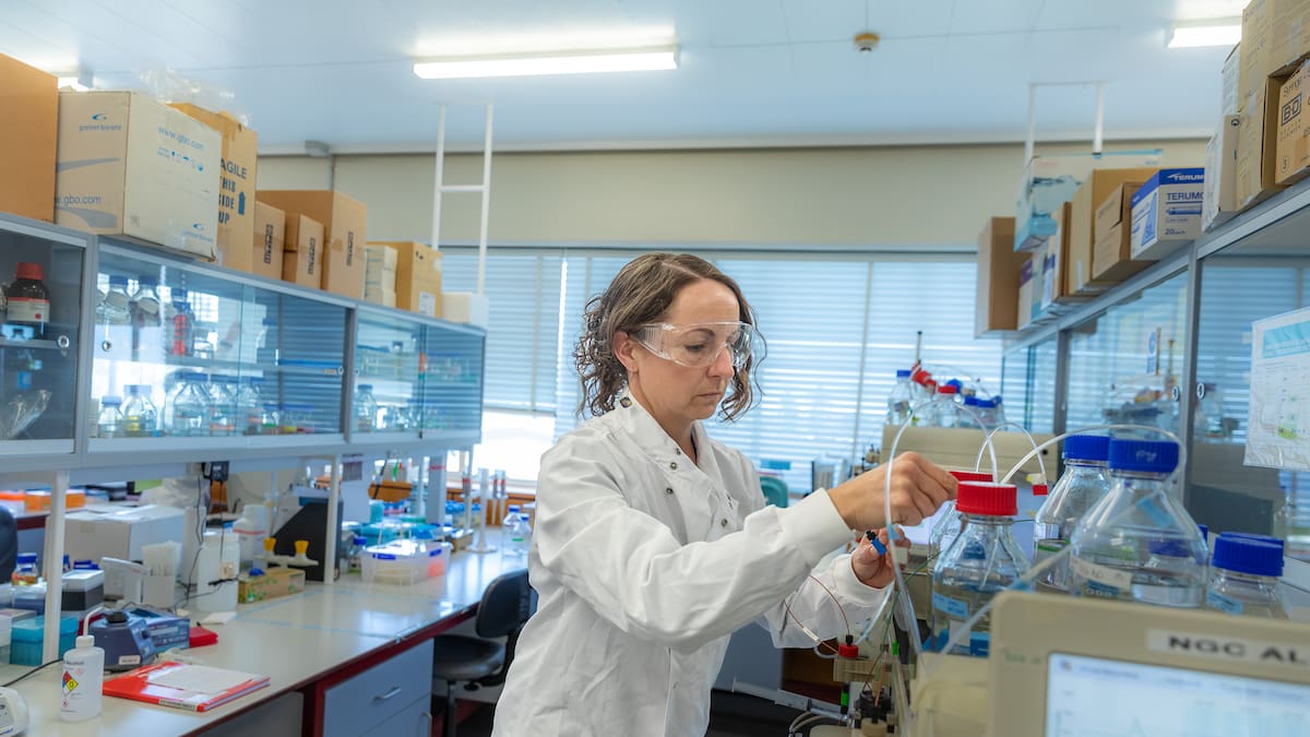 Kiwi scientists decode antibiotic-resistant bacteria