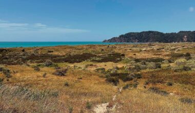 Whakatāne housing project faces Environment Court fight over Ōpihi urupa