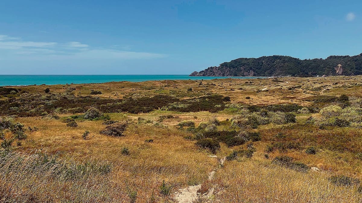 Whakatāne housing project faces Environment Court fight over Ōpihi urupa