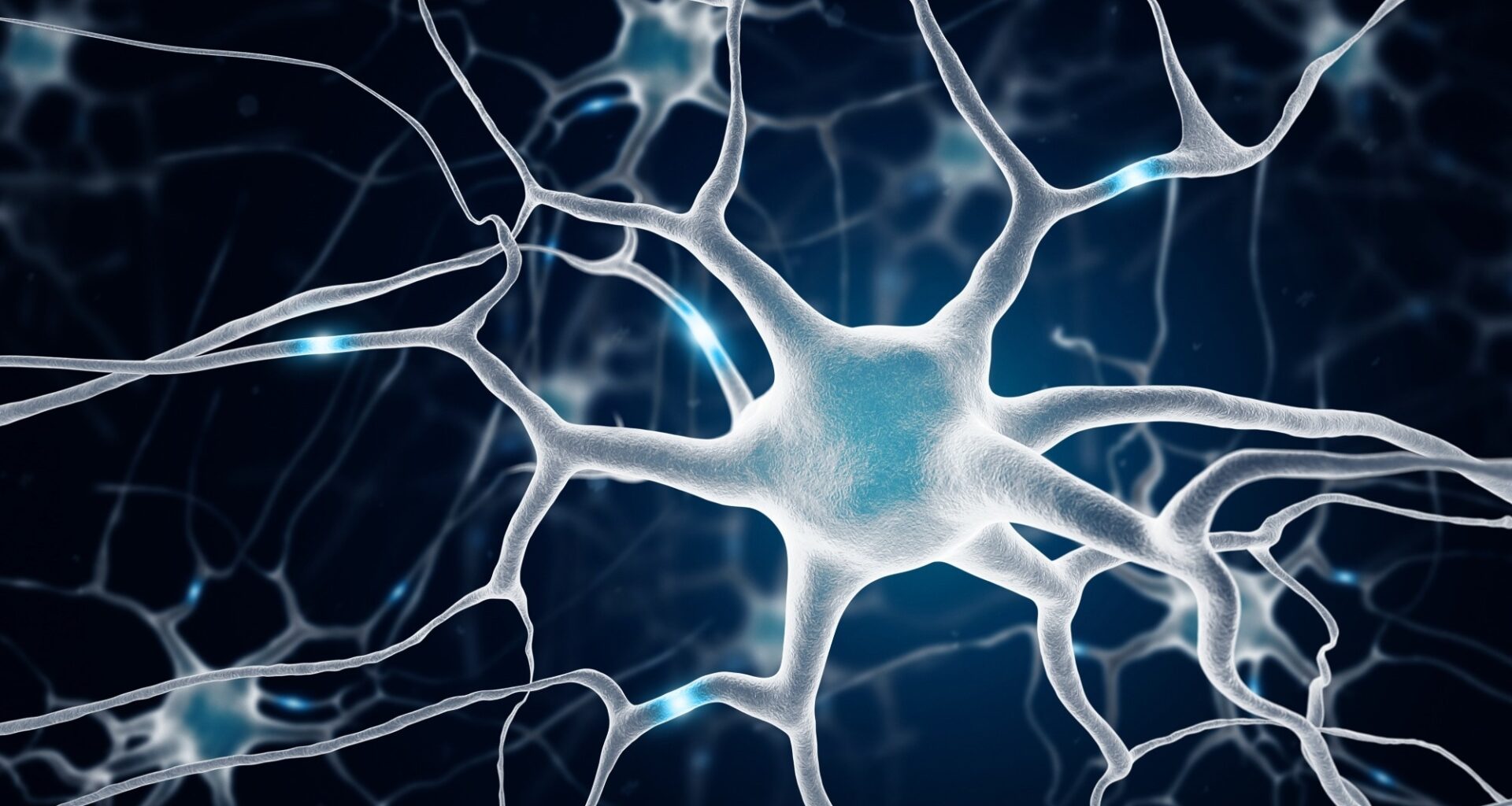 Study: Human hippocampal neurogenesis in adulthood, ageing and Alzheimer’s disease. Image Credit: MP Art / Shutterstock