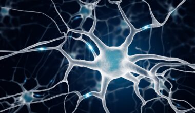 Study: Human hippocampal neurogenesis in adulthood, ageing and Alzheimer’s disease. Image Credit: MP Art / Shutterstock