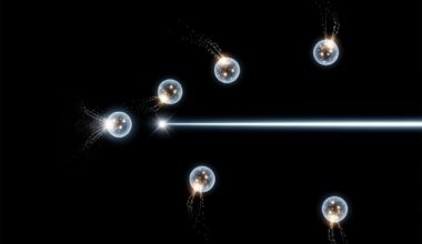 Quantum Precision Survives Particle Loss Thanks to Information Scrambling Techniques