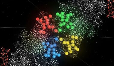 Graph Neural Networks Reveal Antibody Function in Complex Molecular Landscapes