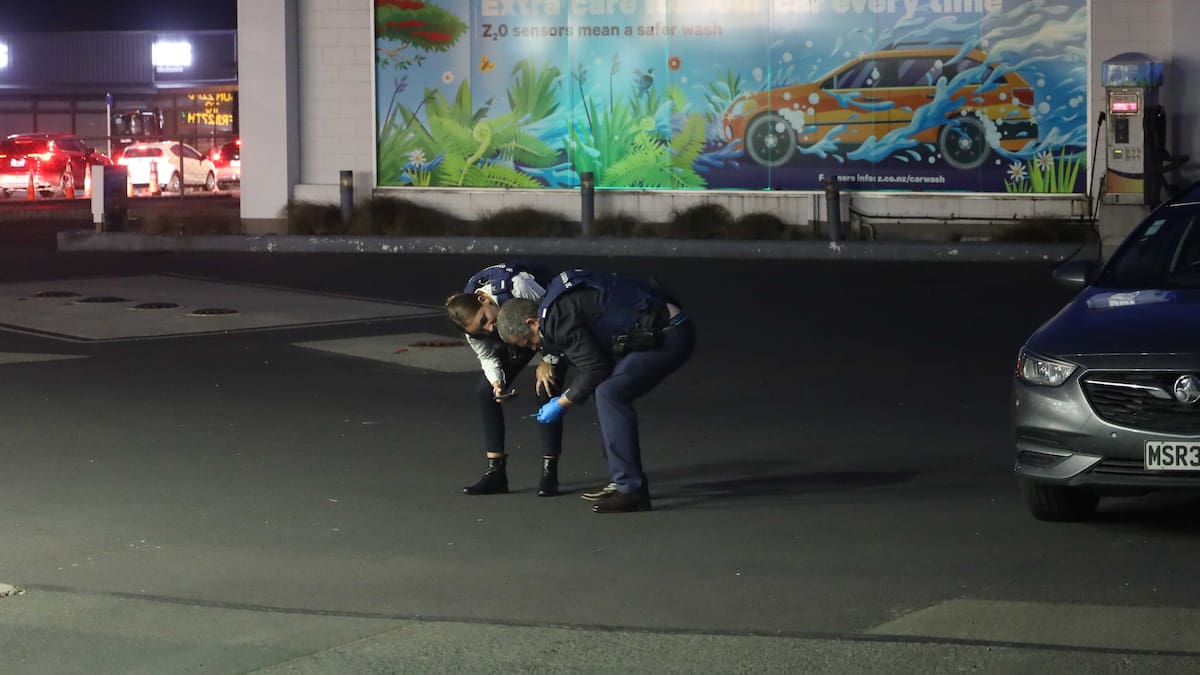 Police charge 46-year-old man after manhunt in Dunedin