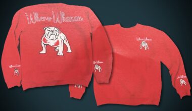 Wellington Mongrel Mob member Barry Kahui loses court bid for the return of his seized sweatshirt